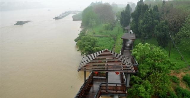 巴蒂木－浙江省蘭溪市中洲公園